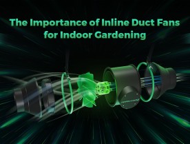 The Importance of Inline Duct Fans for Indoor Gardening