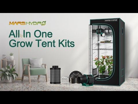 Mars Hydro TSL 2000 LED Grow Light + 2'X4'(60X120CM) Grow Tent Kits+4”  iFresh Full Fan Kits(Pre-order,will be shipped out before 30th Nov.)