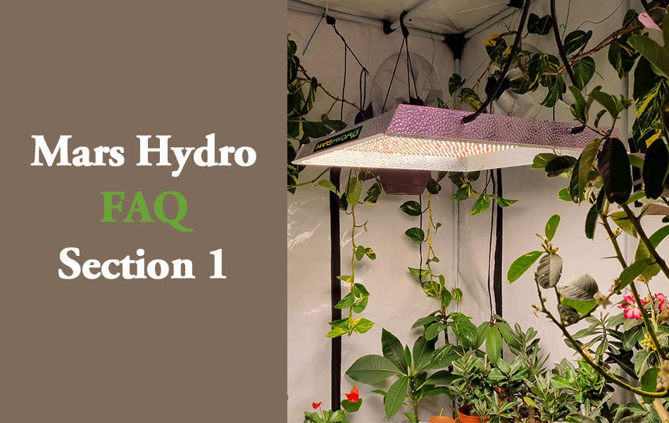 Mars Hydro FAQ 1 - Answering the most asked questions from customers