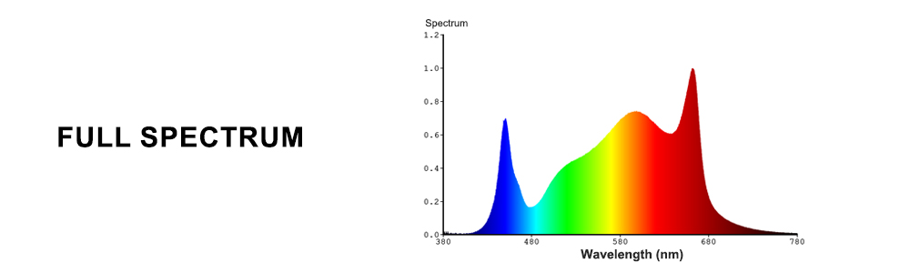 The Ultimate Guide to Spectrum Science in LED Grow Lights