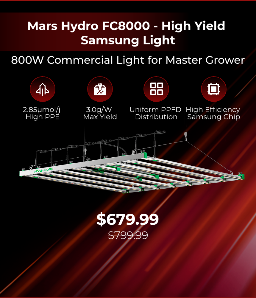 Black friday deals on deals grow lights