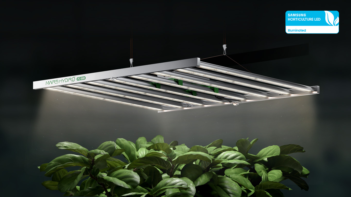 Mars Hydro Official - High-Efficiency LED Grow Lights & Tents